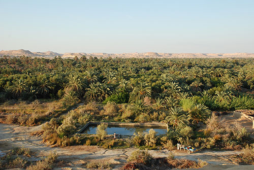 Siwa1